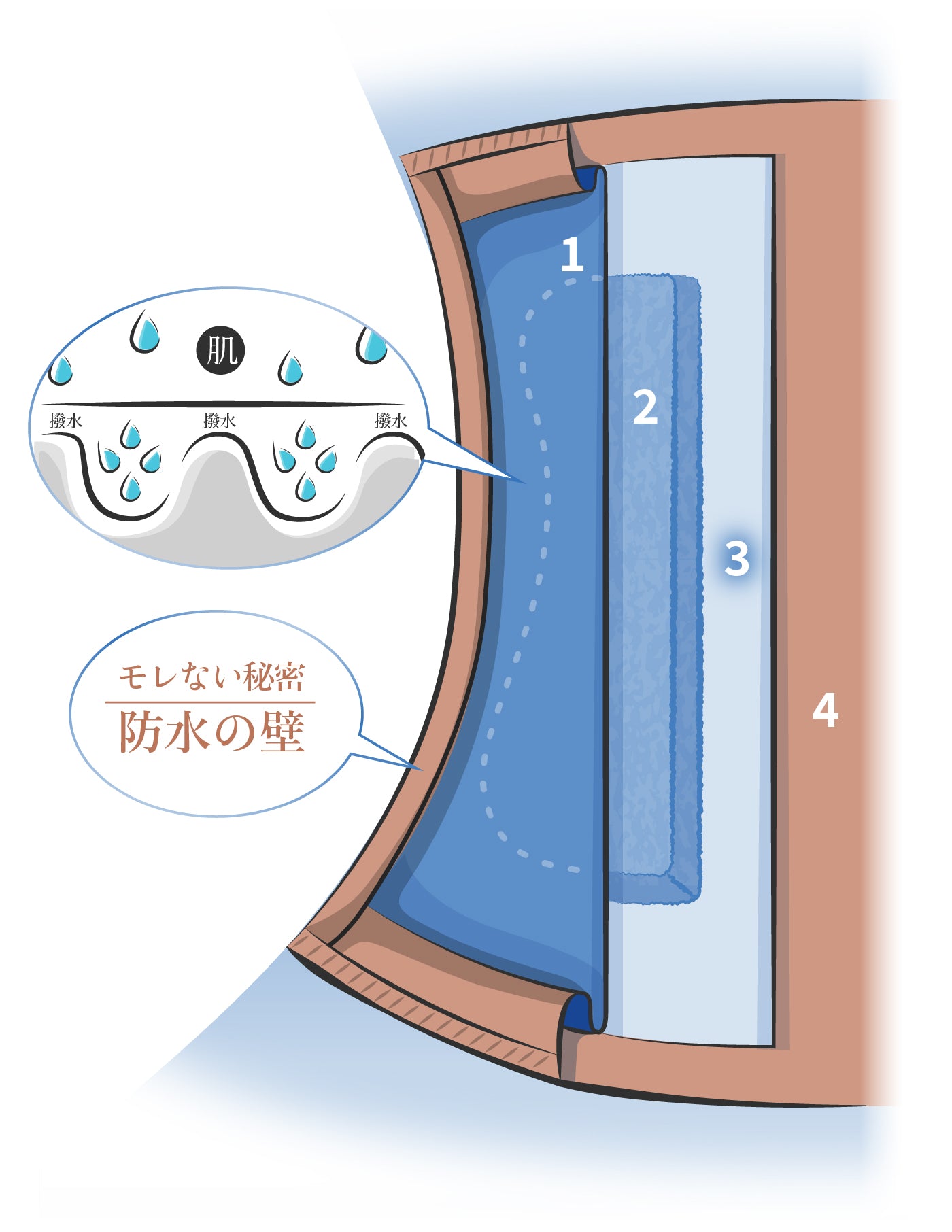 吸水ショーツの4層構造