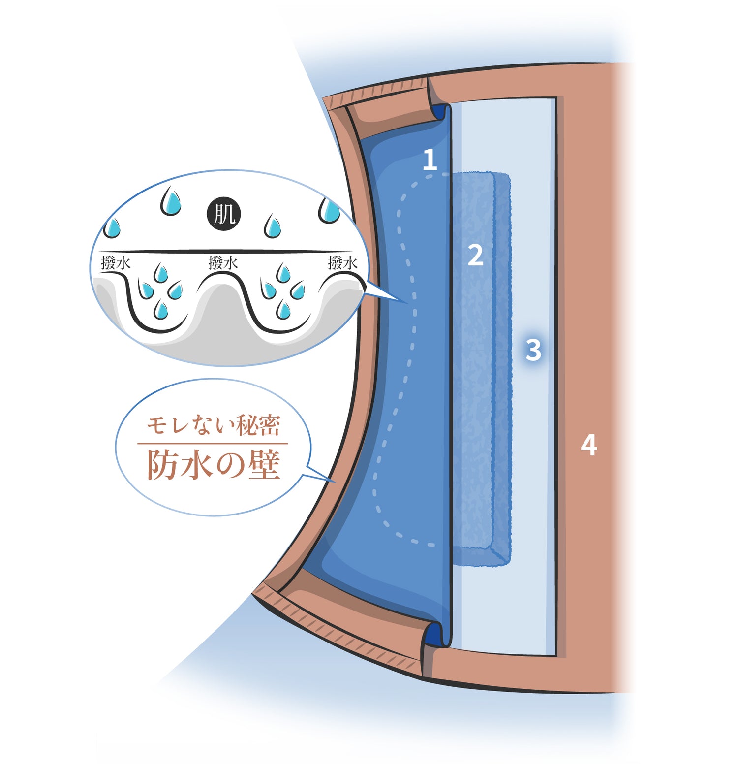 吸水ショーツの4層構造